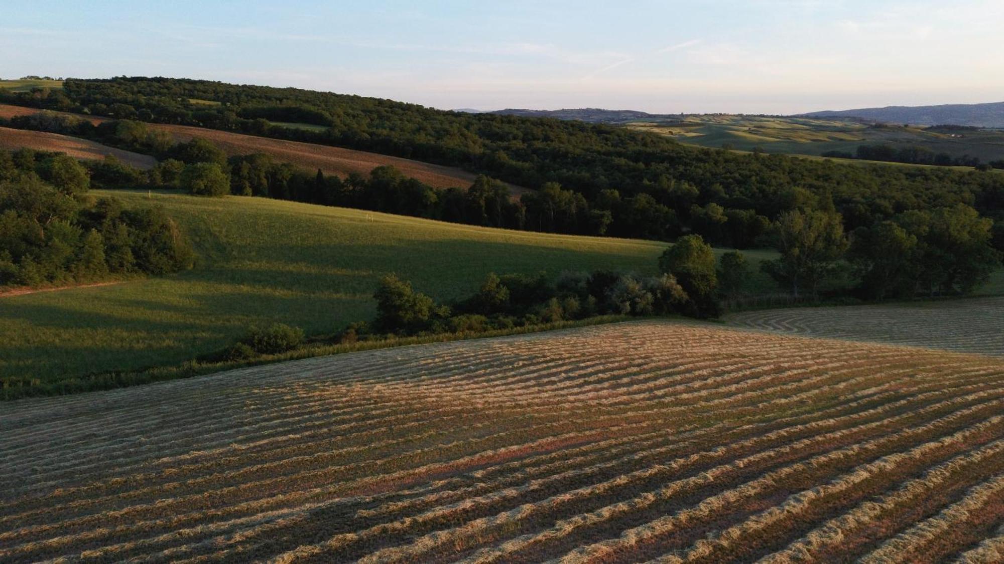 Vento D'Orcia Vila Pienza Exterior foto