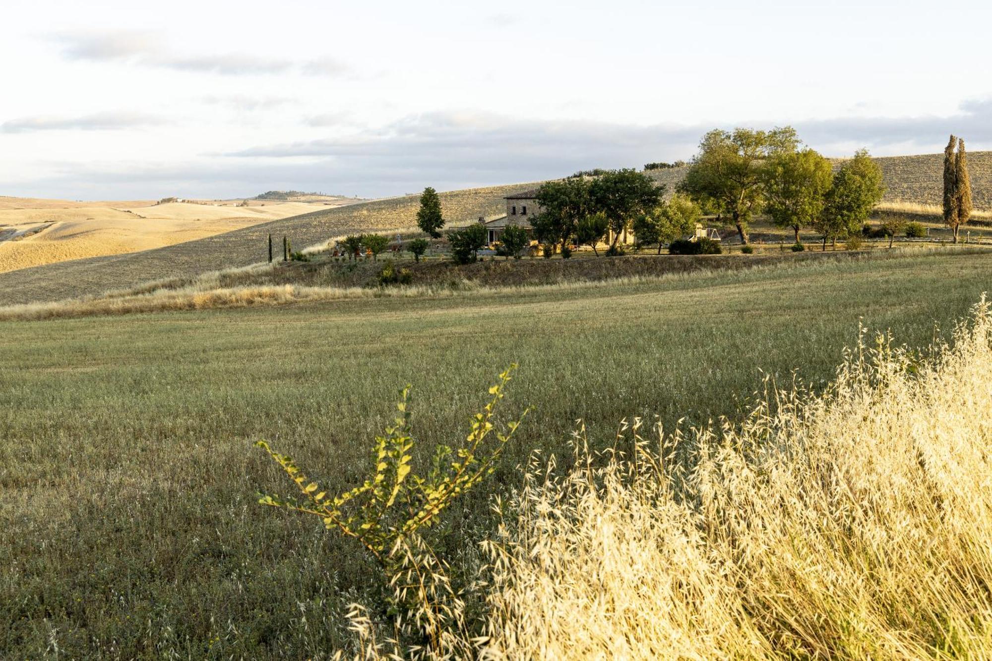 Vento D'Orcia Vila Pienza Exterior foto